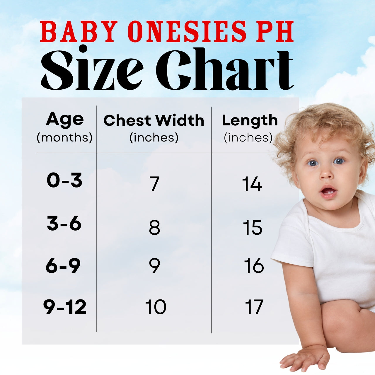 Pilot Captain Baby Onesie – Flight Costume for Babies | Baby Onesies PH
